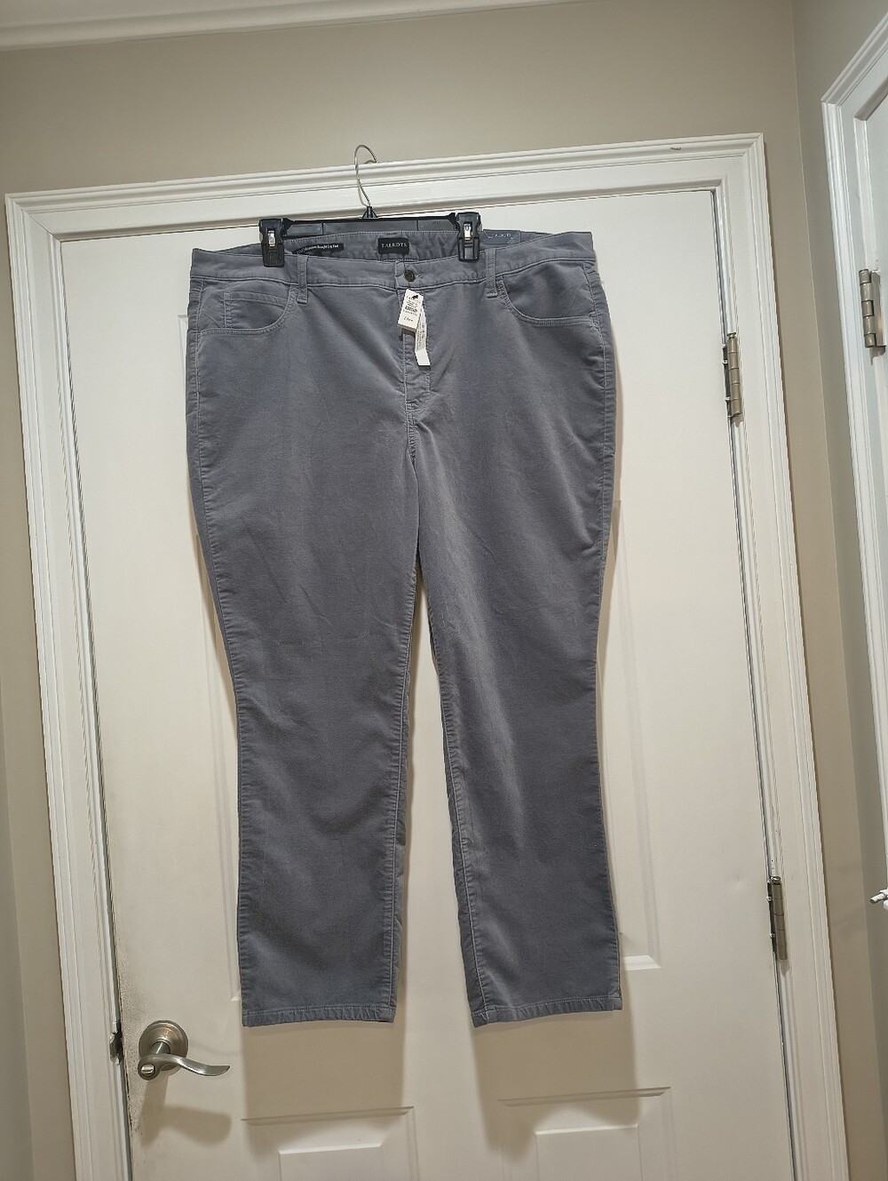 NWT Talbots Velveteen Gray  Straight Leg Pant 22WP